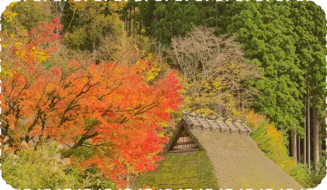 写真：四季を味わう