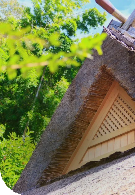 写真：茅葺き屋根