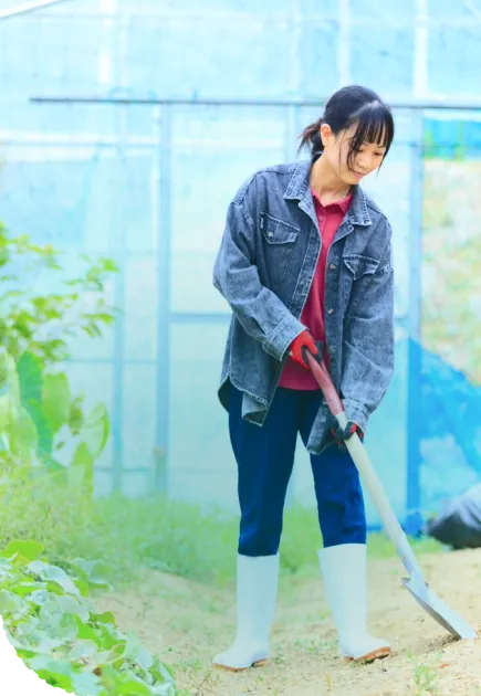 写真：農作業体験