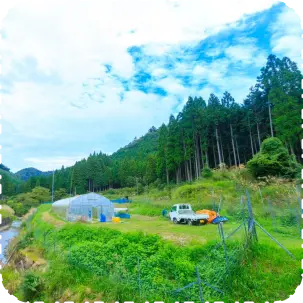 写真：風景