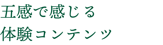 五感で感じる体験コンテンツ