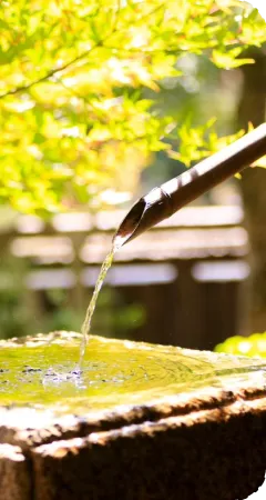 写真：水盆